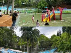 -广州市流溪河国家森林公园