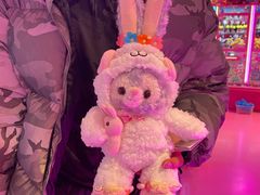-BIG PINK大粉娃娃机主题馆(圆融星座店)