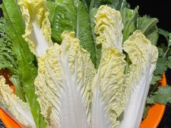 -城南老友羊蝎子火锅(花乡奥莱店)