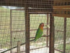 -祥源·阜阳生态乐园