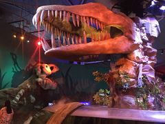 -悉尼海洋生物水族馆