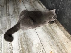-KingBull私教健身&格斗订制(龙井商业中心店)