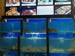 水产区-老东镇啤酒屋海鲜加工·蒸汽海鲜·海鲜烧烤(台东店)