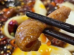 肥肠-晓彭肥肠鸡·泡椒鸡火锅(水木天地店)