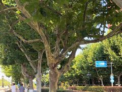 -上海交通大学(闵行校区)