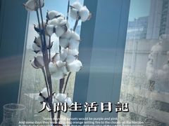 -日上三甘(三里屯店)