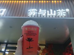 -雾与山茶(大禹城店)