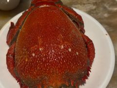 -安蒂娅·海鲜自助餐厅(安蒂娅美兰酒店)