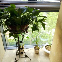 -韵姿美容养生馆