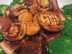 -青雅中餐厅(大连金石滩绿发希尔顿度假酒店)