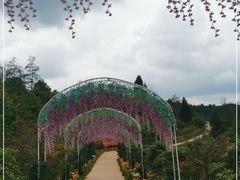 -名花谷生态庄园