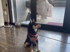 -宠爱国际动物医院·疑难骨科·心肾内科·皮肤科(太阳宫店)