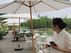 -白鹭湾湿地公园