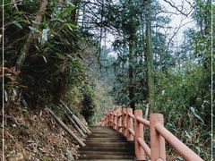 -藏龙百瀑风景区