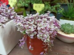 -共青国家森林公园-售票处