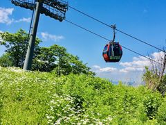 -长春公园(普阳街道)