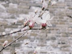 -东华门大街小区