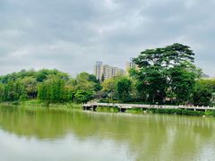 -怡海公园(桂城街道)