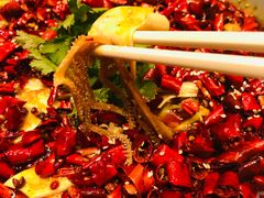 -真爱中国餐馆·年华店(朱雀大街店)