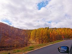 -塞罕坝国家级自然保护区