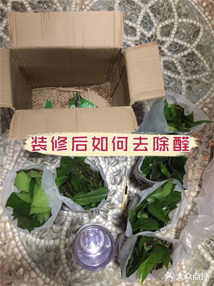 新房装修后如何去除醛
