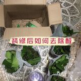 新房装修后如何去除醛