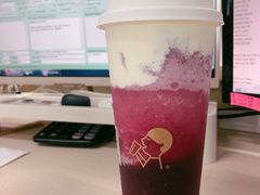 多肉葡萄-喜茶(天津乐宾百货店)