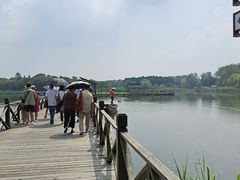 -溱湖国家湿地公园