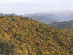 -云顶山风景区
