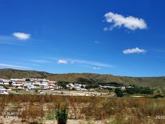 -张金涛熏鸡(人民南路店)