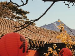 -潭柘寺景区