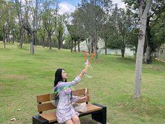 -牛岗山公园