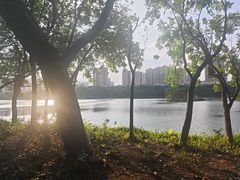 -南宁南湖公园