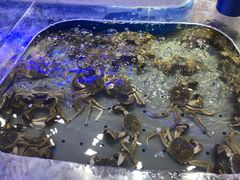 -澜悦港海鲜体验主题餐厅