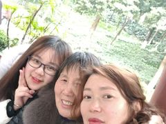-龙头寺公园