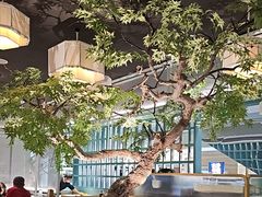 -绿茶餐厅(广州天河城店)