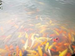 -忠山公园
