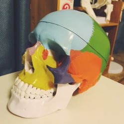 -FACE·日本小颜矫正美容整骨サロン