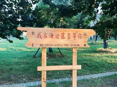 -在海一方公园