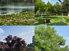 -晓琦农家菜馆·地道农家菜