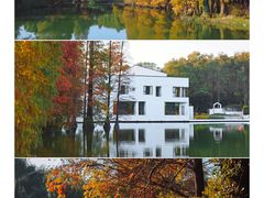 -中国科学院华南植物园