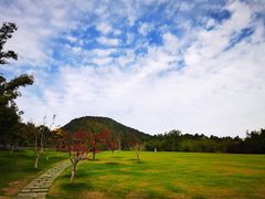 -牛首山文化旅游区