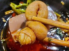 -钢管厂五区小郡肝火锅串串香(总店)