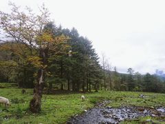 -硗碛藏寨·神木垒景区