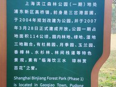 -上海滨江森林公园