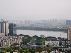 -福道