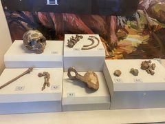 -辽宁古生物博物馆