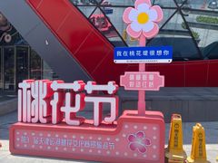 -鹏欣水游城