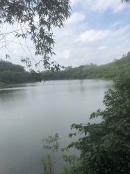 -佛灵湖水上乐园