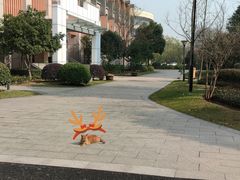 -同人紫荆文体中心·游泳馆(紫荆大厦店)
